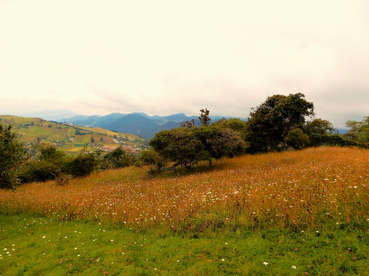 Casa en Arriendo La Calera Vereda La Popa 4 Alcobas y Spa con Piscina
